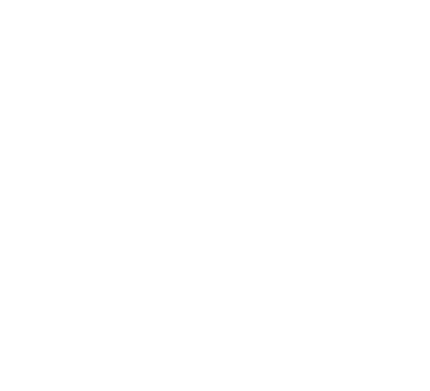 Logo Casa Sok